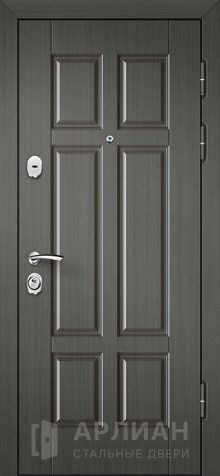 Фото «Дверь с МДФ №207»